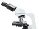 Aktualita mikroskop Euromex bScope