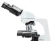 Aktualita mikroskop Euromex bScope