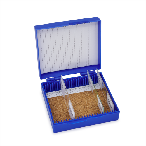 Plastový box na 25 ks mikroskopických preparátů - Barva: modrá